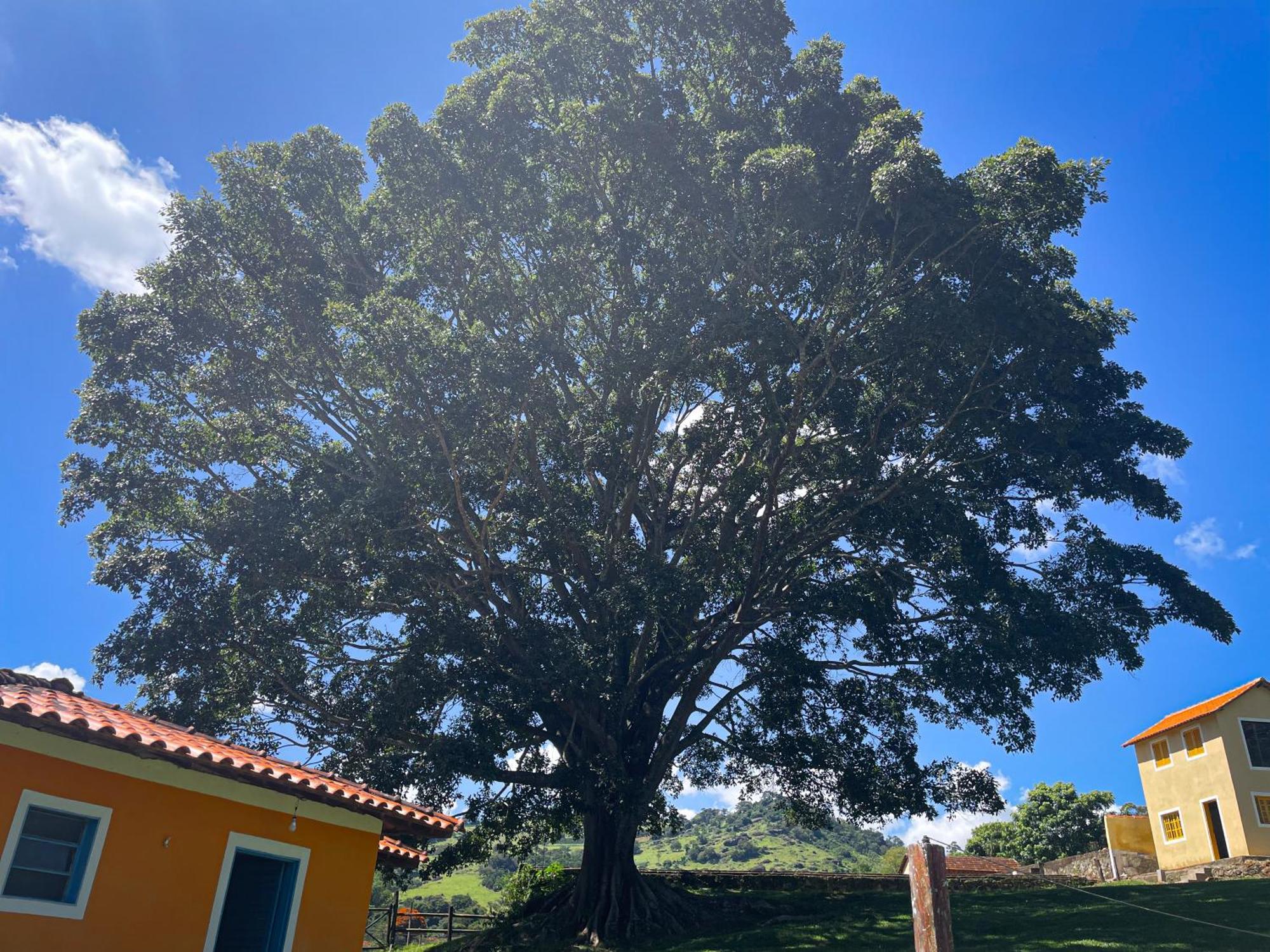 Fortuna Casas De Campo 索科罗 外观 照片